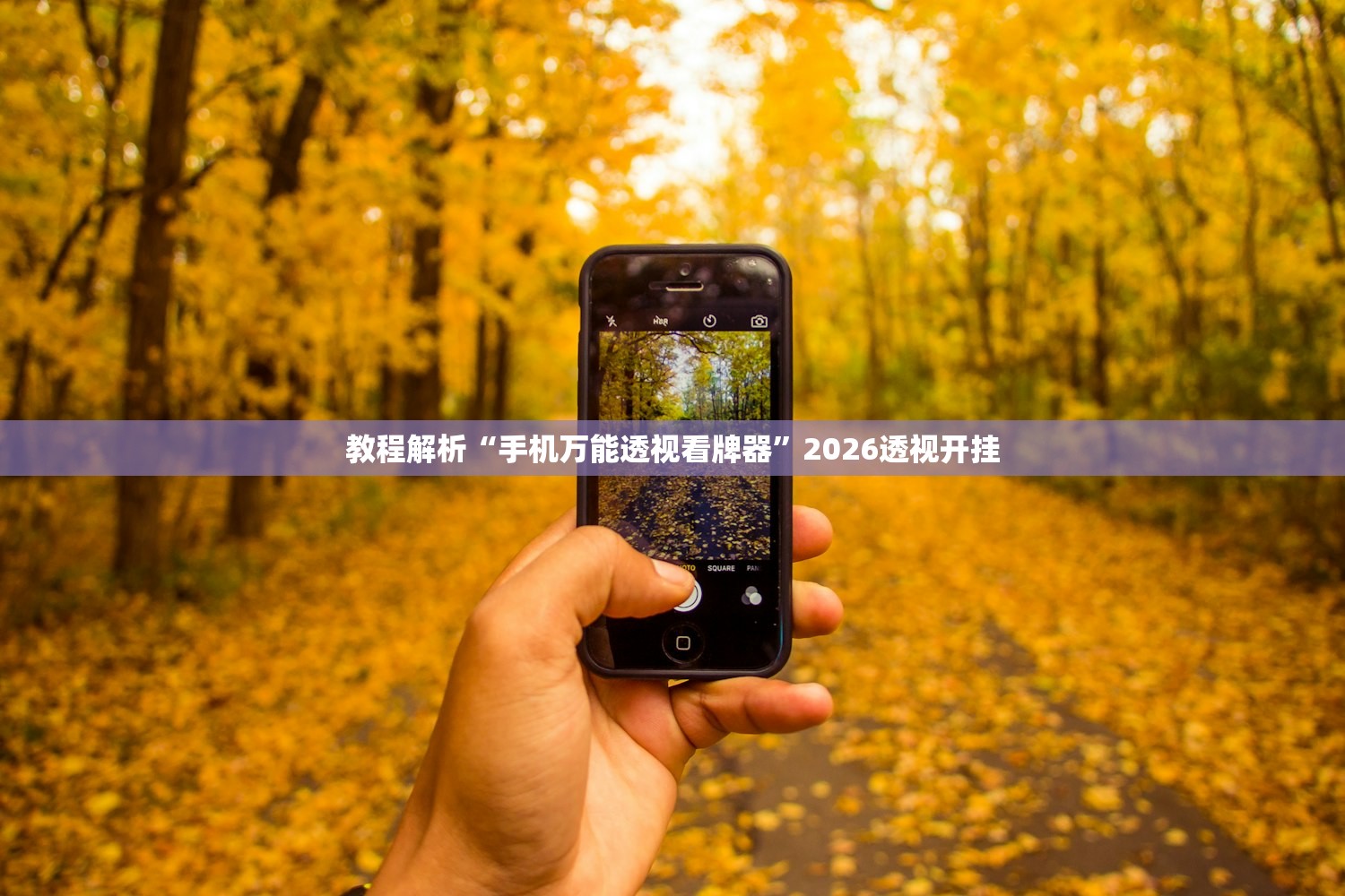 教程解析“手机万能透视看牌器”2026透视开挂