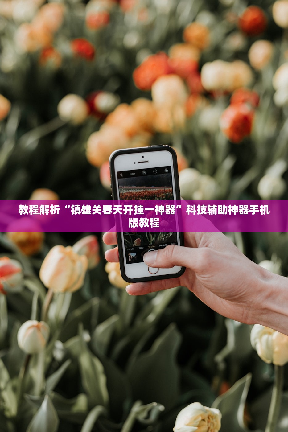 教程解析“镇雄关春天开挂一神器	”科技辅助神器手机版教程