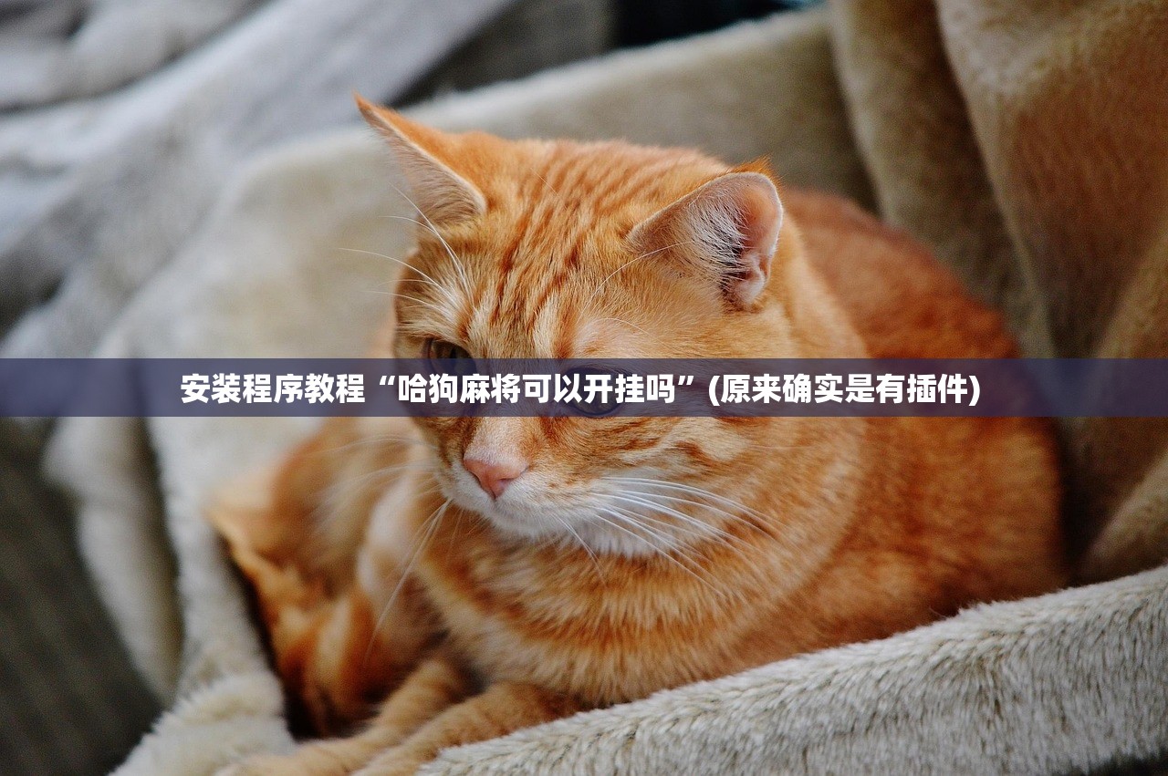 安装程序教程“哈狗麻将可以开挂吗”(原来确实是有插件) 