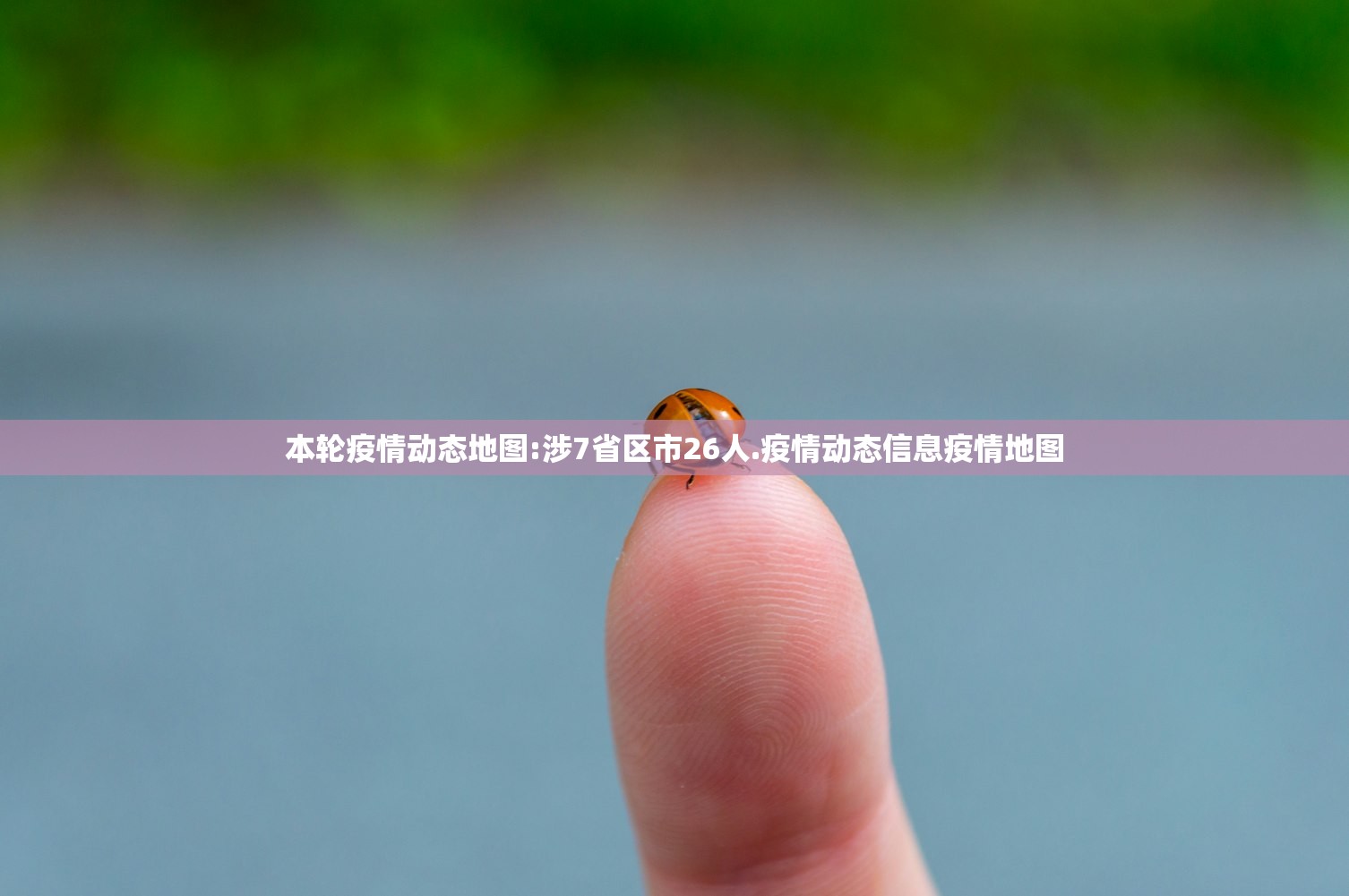 本轮疫情动态地图:涉7省区市26人.疫情动态信息疫情地图