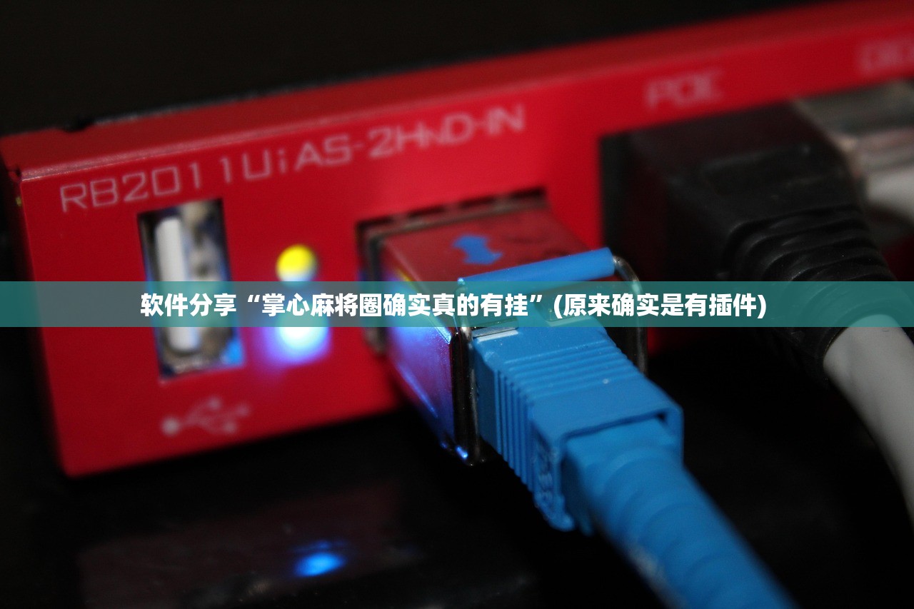 软件分享“掌心麻将圈确实真的有挂”(原来确实是有插件) 
