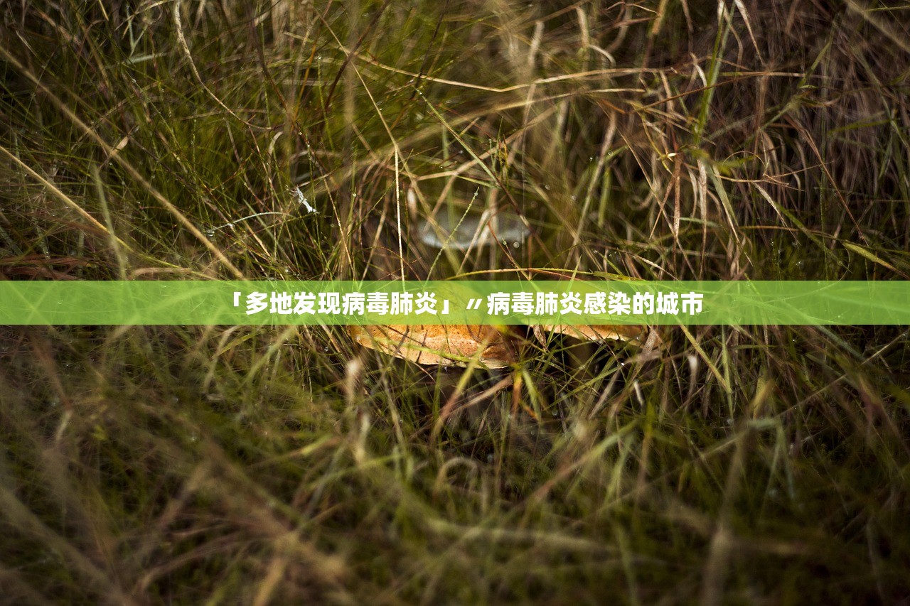 「多地发现病毒肺炎」〃病毒肺炎感染的城市