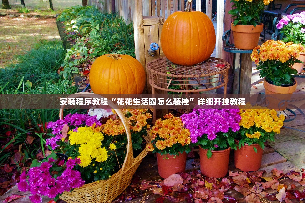 安装程序教程“花花生活圈怎么装挂”详细开挂教程