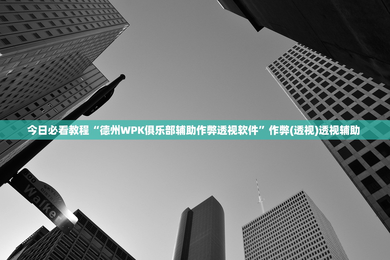 今日必看教程“德州WPK俱乐部辅助作弊透视软件”作弊(透视)透视辅助 