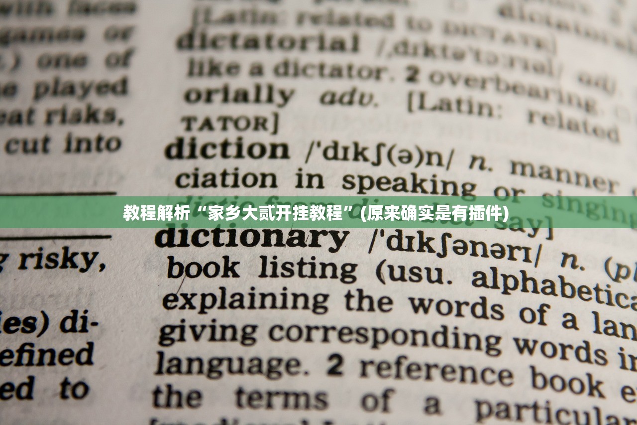 教程解析“家乡大贰开挂教程”(原来确实是有插件) 