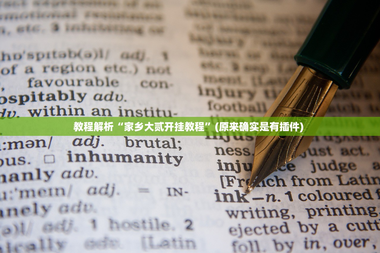 教程解析“家乡大贰开挂教程”(原来确实是有插件) 