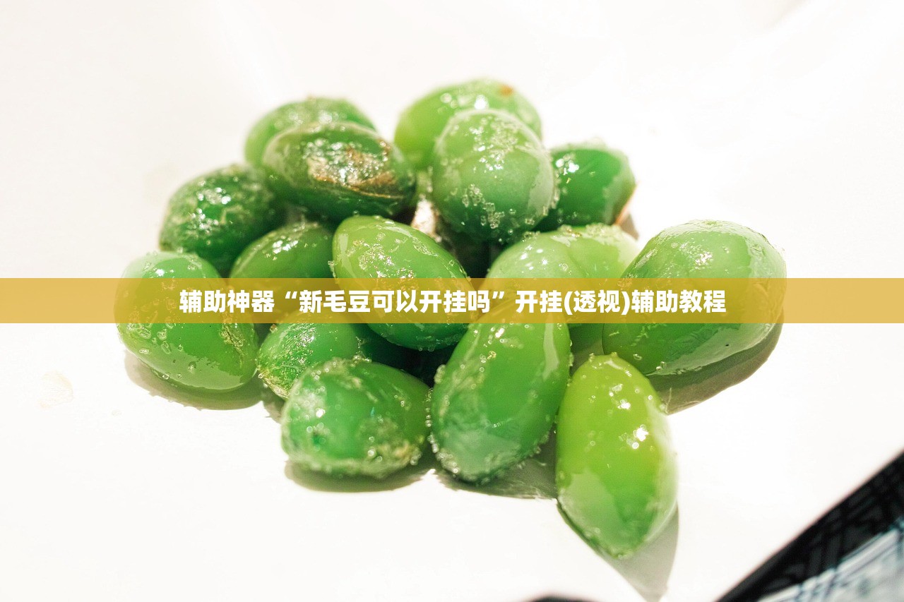 辅助神器“新毛豆可以开挂吗”开挂(透视)辅助教程