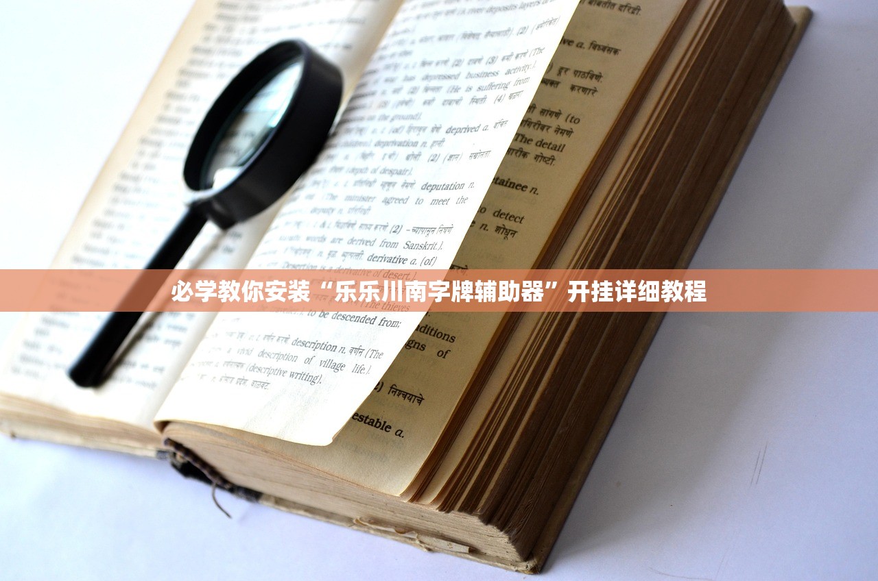 必学教你安装“乐乐川南字牌辅助器	”开挂详细教程