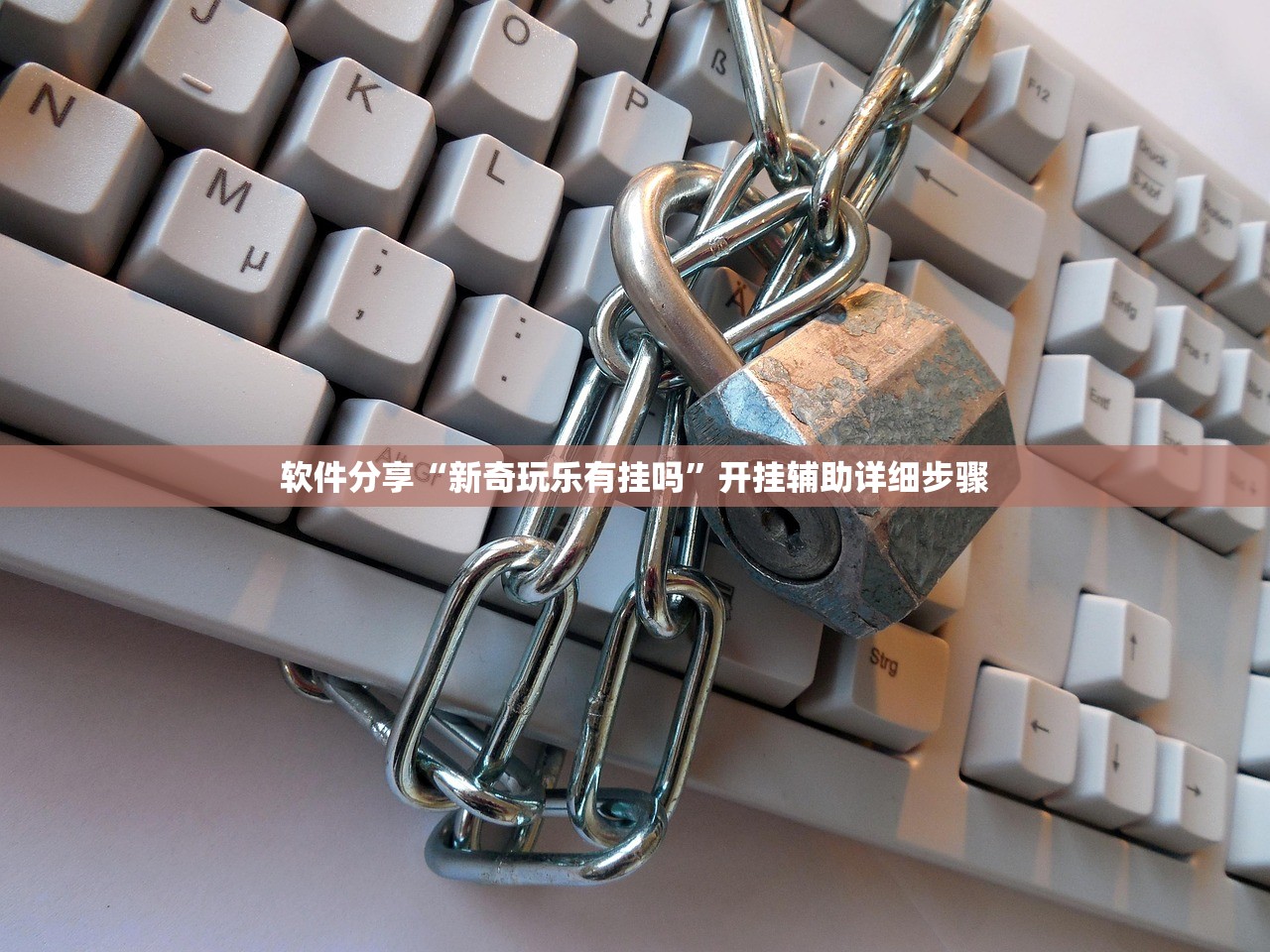 软件分享“新奇玩乐有挂吗”开挂辅助详细步骤
