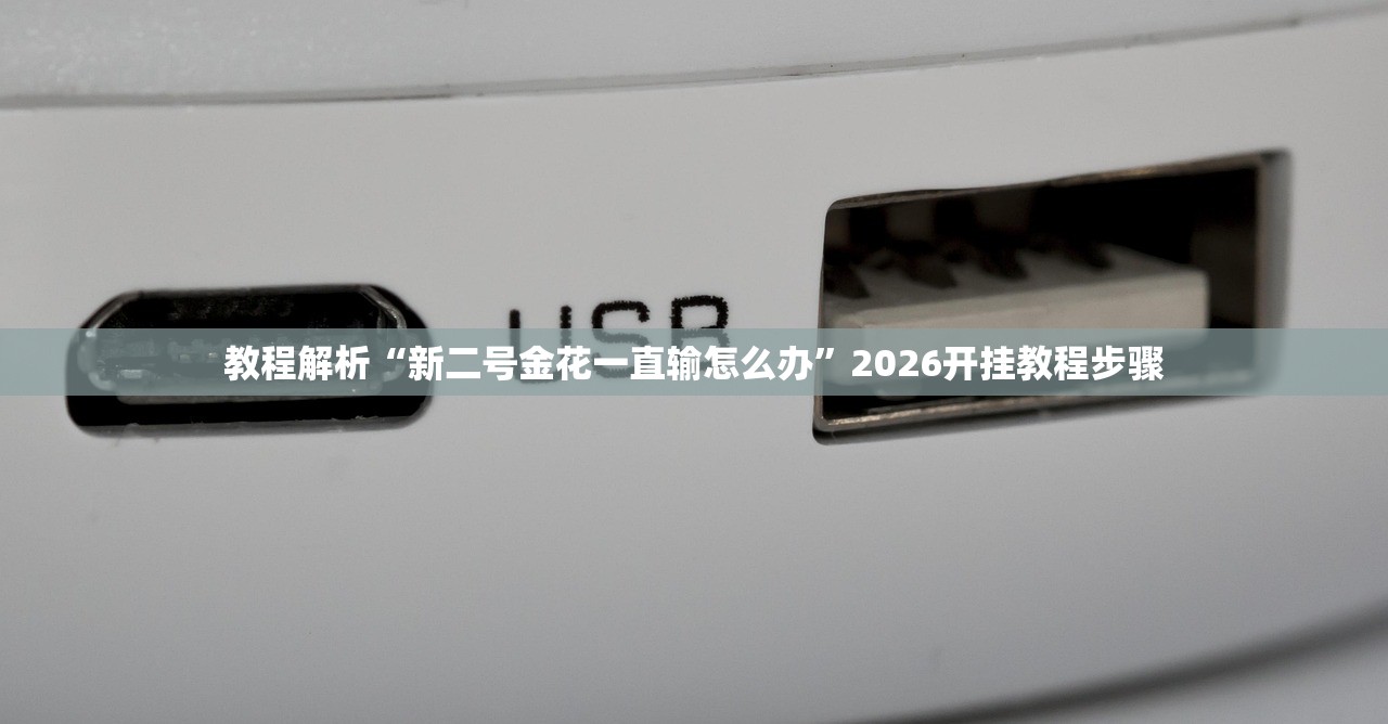 教程解析“新二号金花一直输怎么办”2026开挂教程步骤