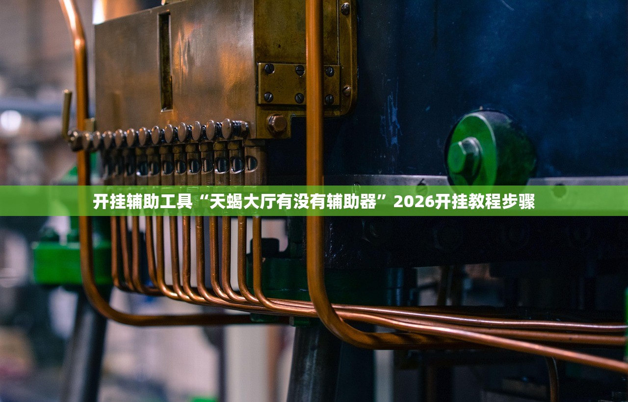 开挂辅助工具“天蝎大厅有没有辅助器”2026开挂教程步骤