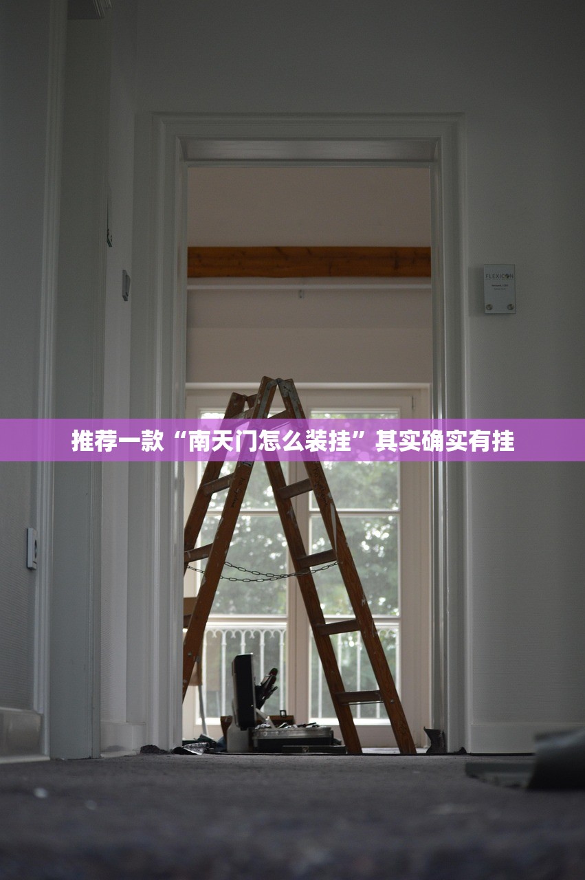 推荐一款“南天门怎么装挂”其实确实有挂