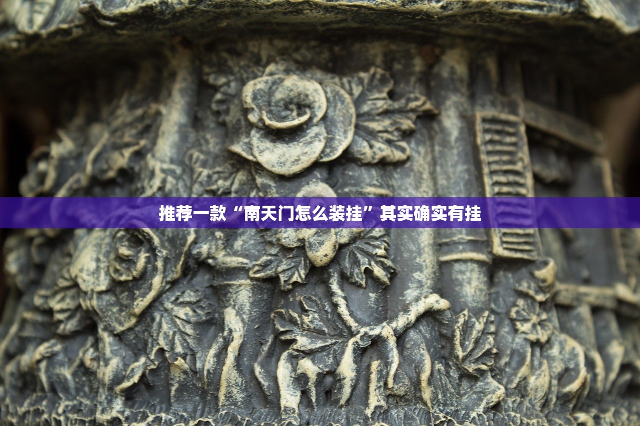 推荐一款“南天门怎么装挂”其实确实有挂