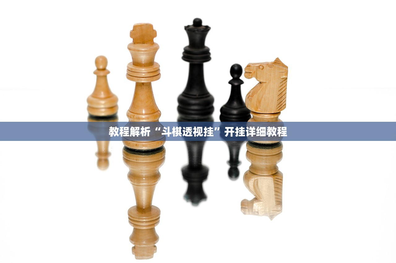 教程解析“斗棋透视挂”开挂详细教程