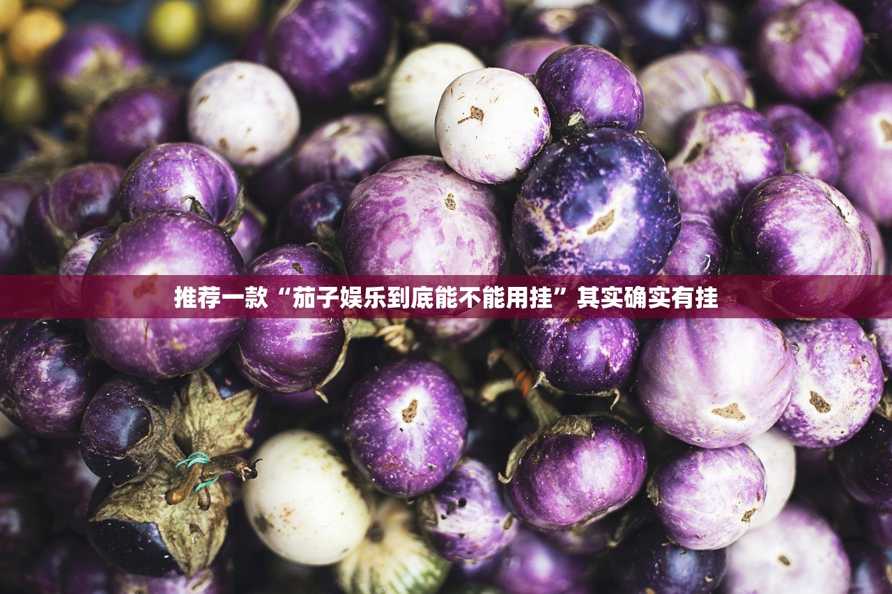 推荐一款“茄子娱乐到底能不能用挂	”其实确实有挂