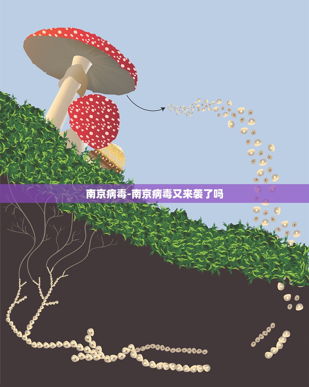 南京病毒-南京病毒又来袭了吗 南京病毒-南京病毒又来袭了吗
