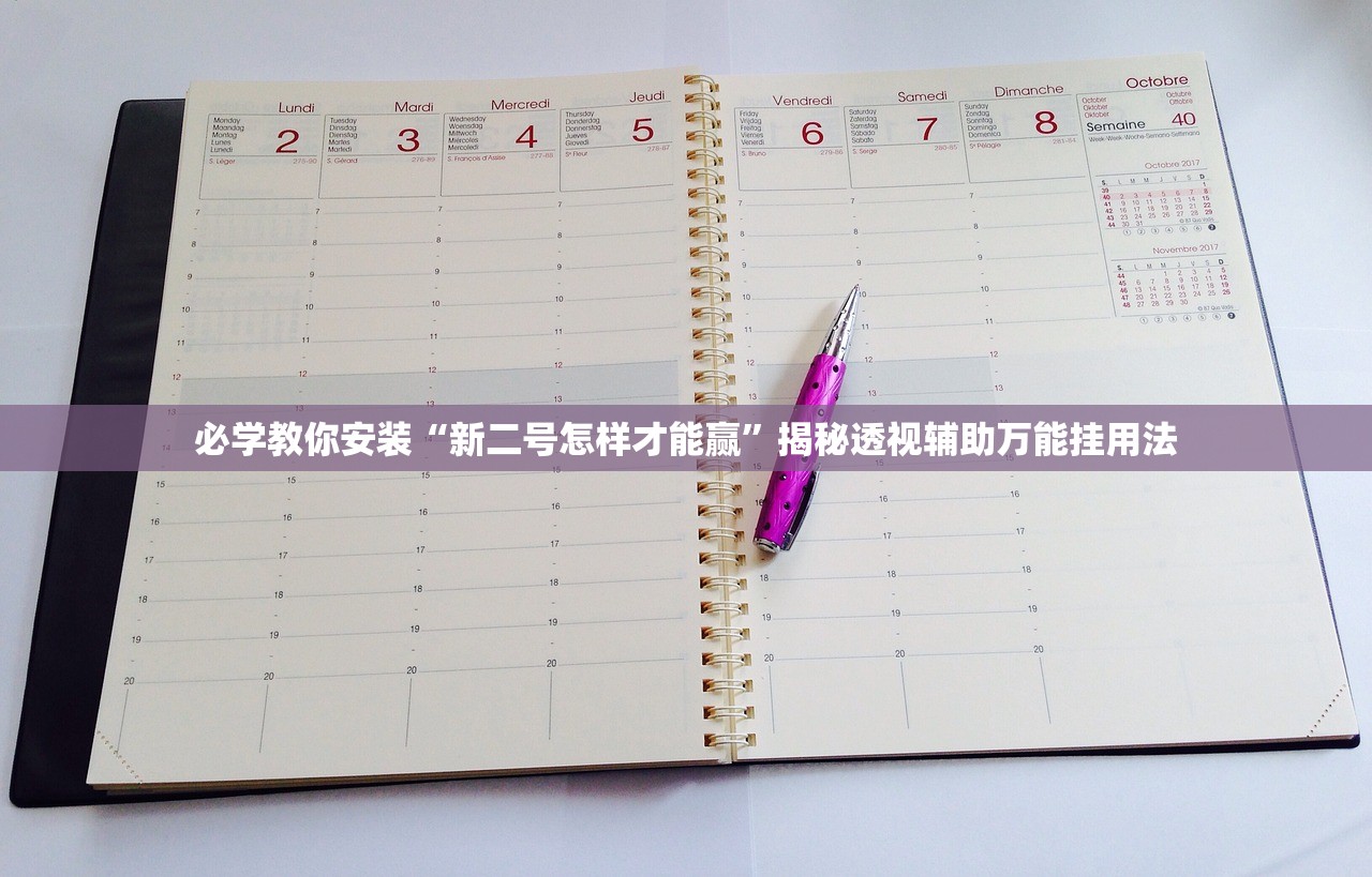 必学教你安装“新二号怎样才能赢”揭秘透视辅助万能挂用法