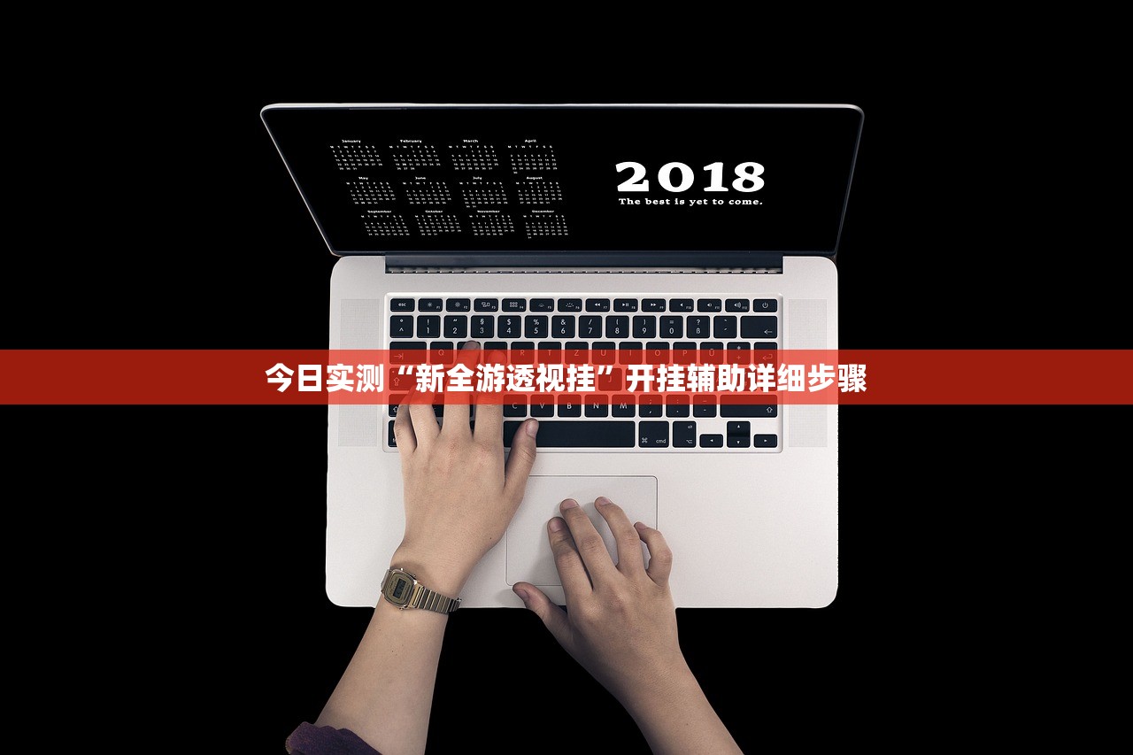 今日实测“新全游透视挂”开挂辅助详细步骤