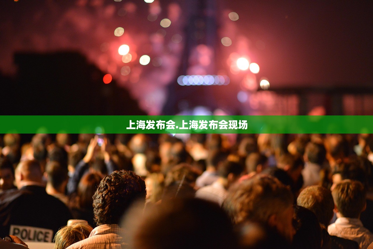 上海发布会.上海发布会现场