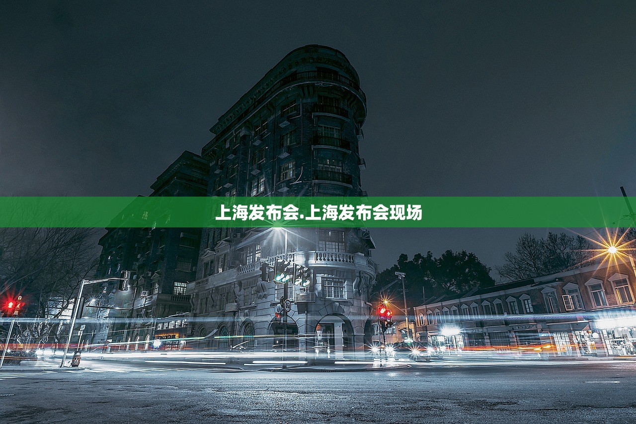 上海发布会.上海发布会现场