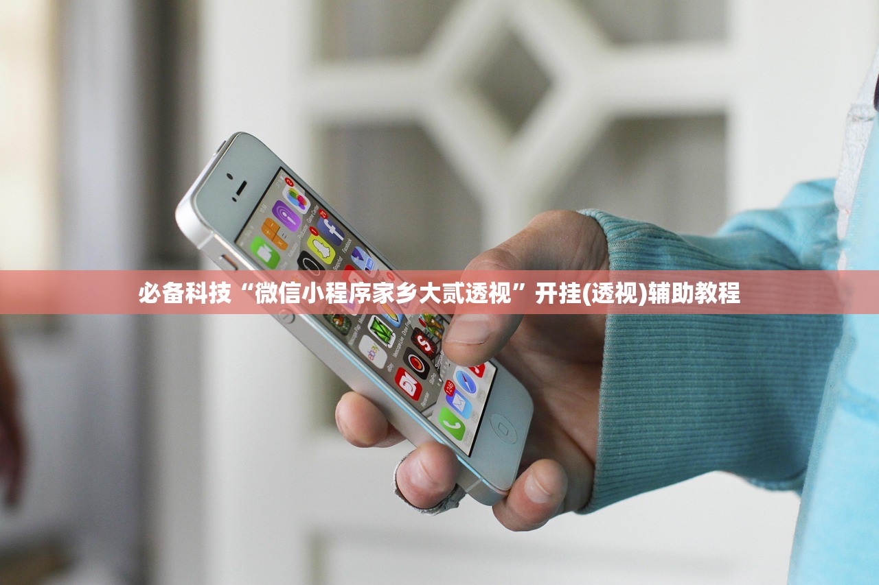 必备科技“微信小程序家乡大贰透视”开挂(透视)辅助教程
