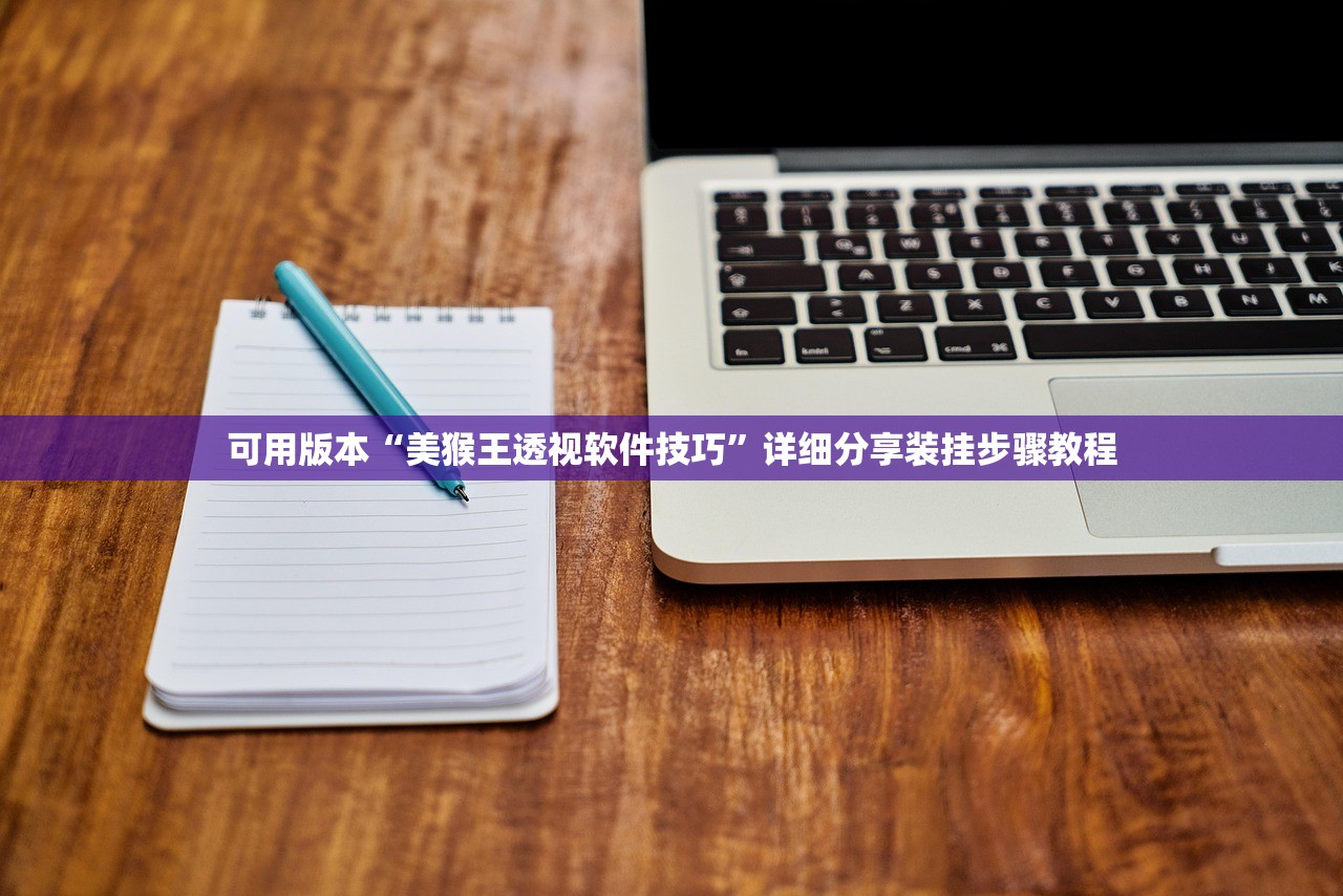 可用版本“美猴王透视软件技巧”详细分享装挂步骤教程