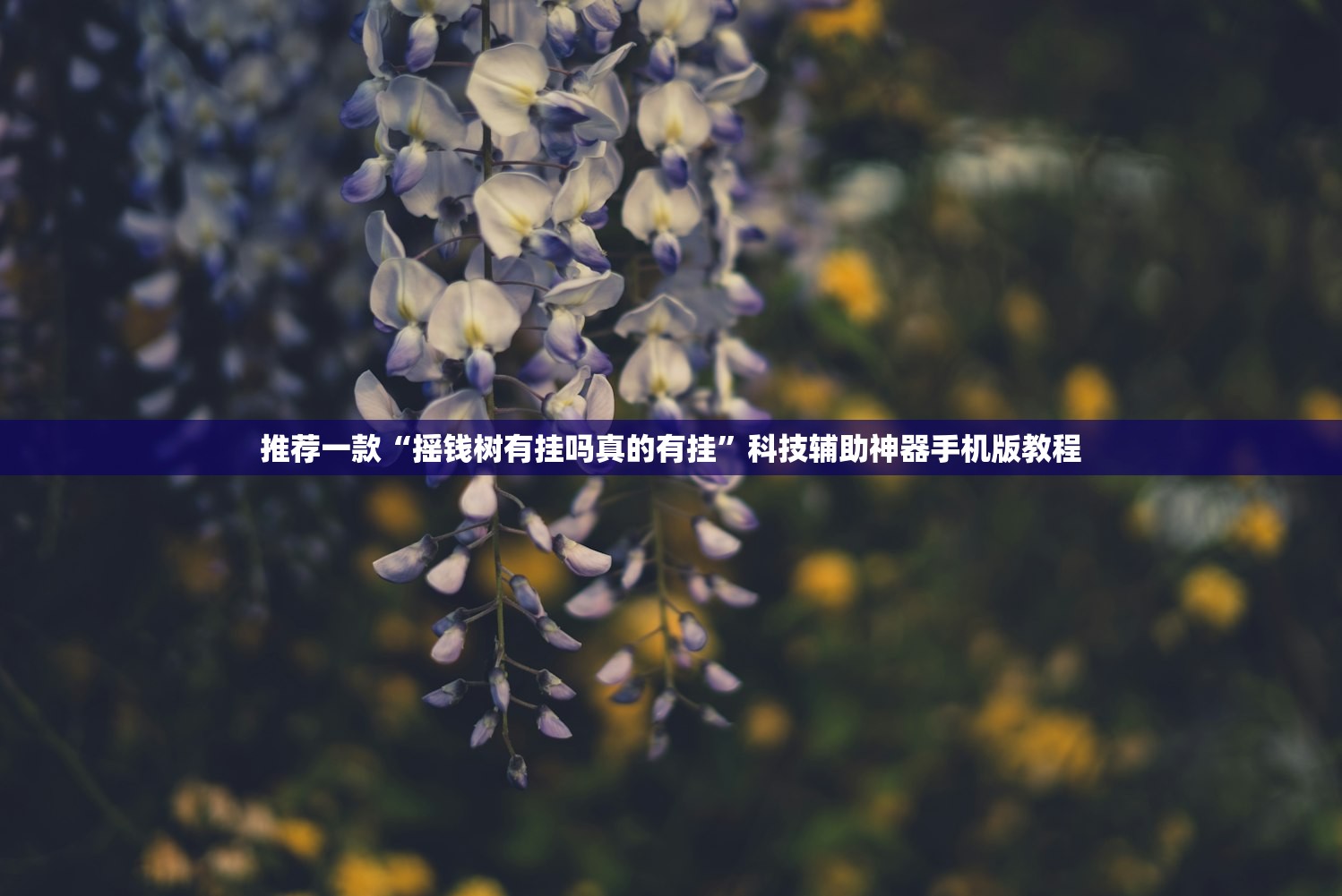 推荐一款“摇钱树有挂吗真的有挂	”科技辅助神器手机版教程