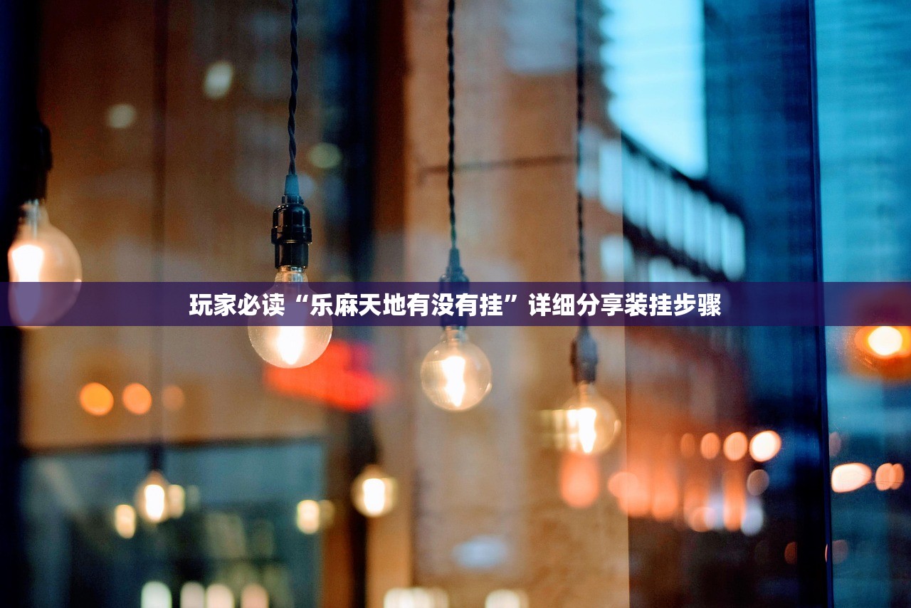 玩家必读“乐麻天地有没有挂”详细分享装挂步骤