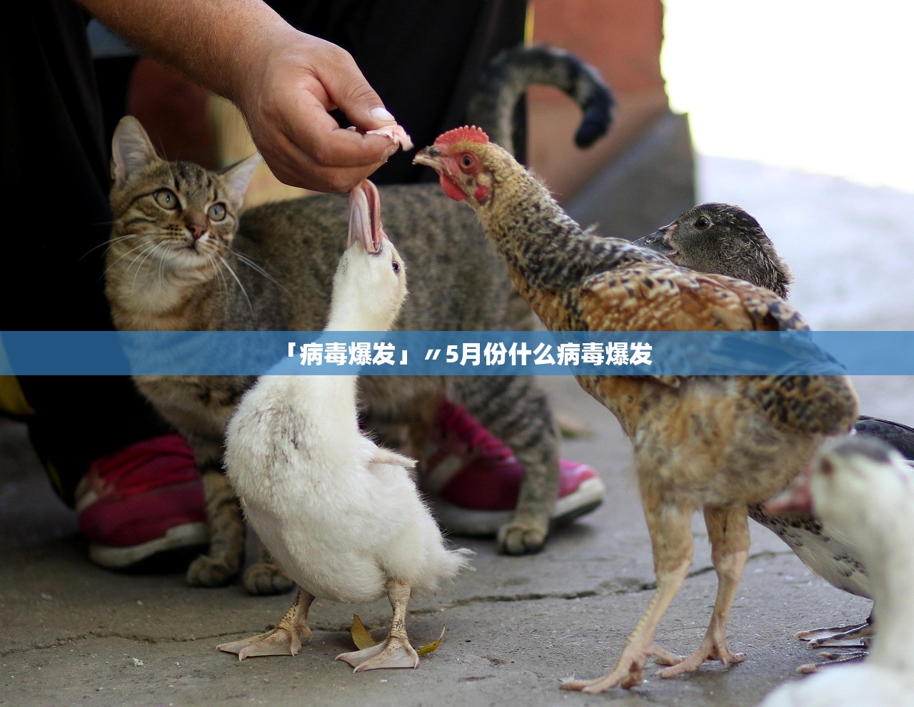 玩家必读“德扑之星俱乐部德州透视挂	”通用版下载教程！