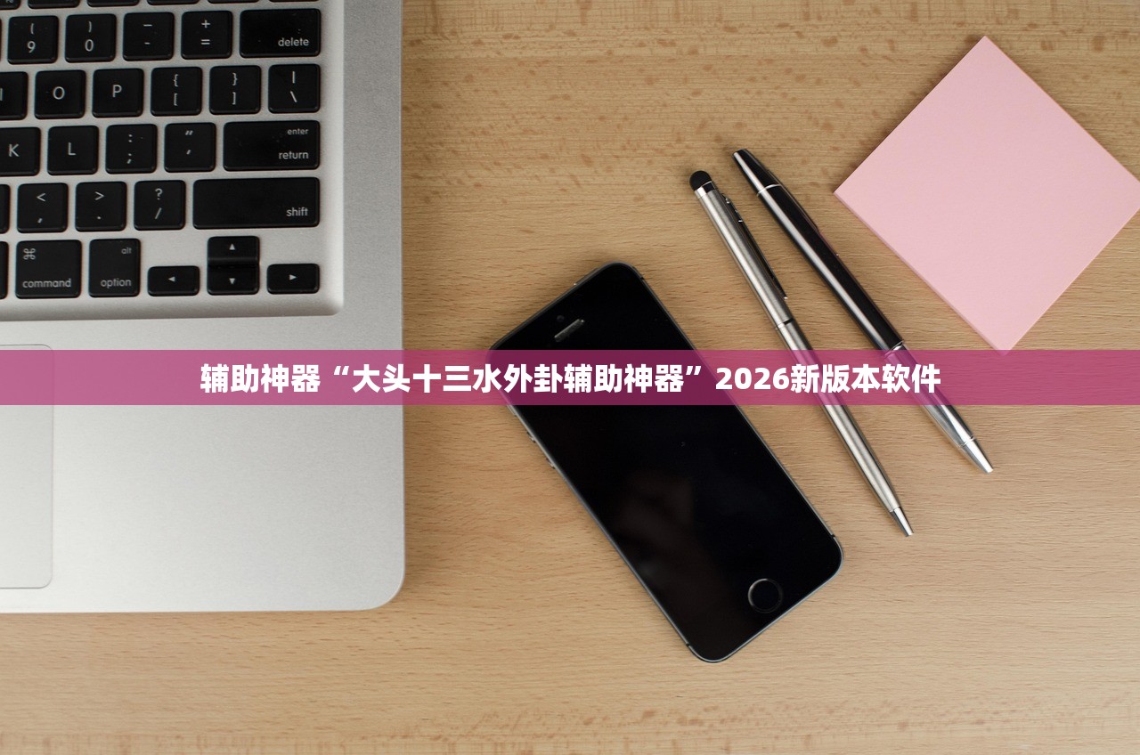 辅助神器“大头十三水外卦辅助神器”2026新版本软件
