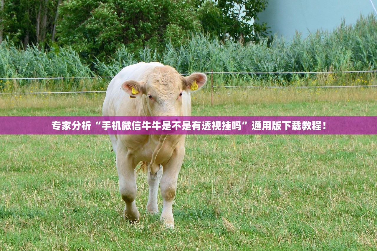 专家分析“手机微信牛牛是不是有透视挂吗”通用版下载教程！