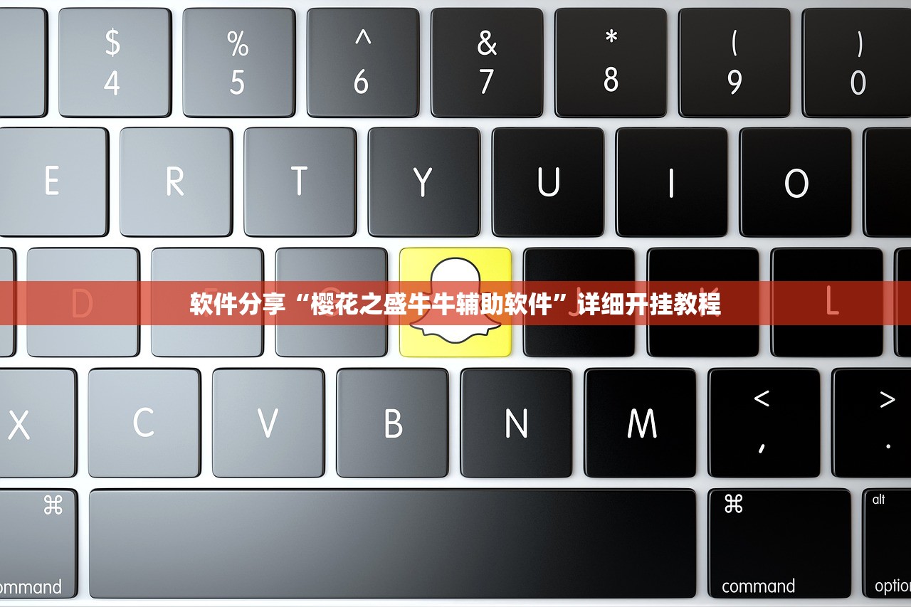 软件分享“樱花之盛牛牛辅助软件”详细开挂教程