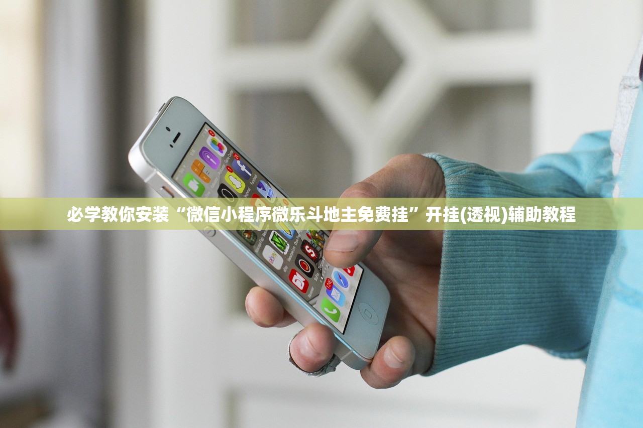 必学教你安装“微信小程序微乐斗地主免费挂”开挂(透视)辅助教程