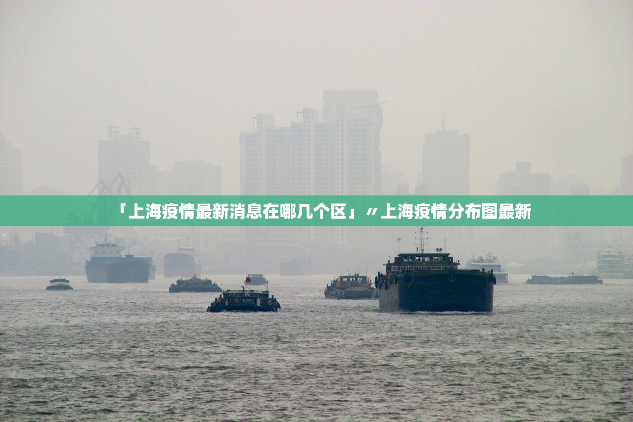 「上海疫情最新消息在哪几个区」〃上海疫情分布图最新