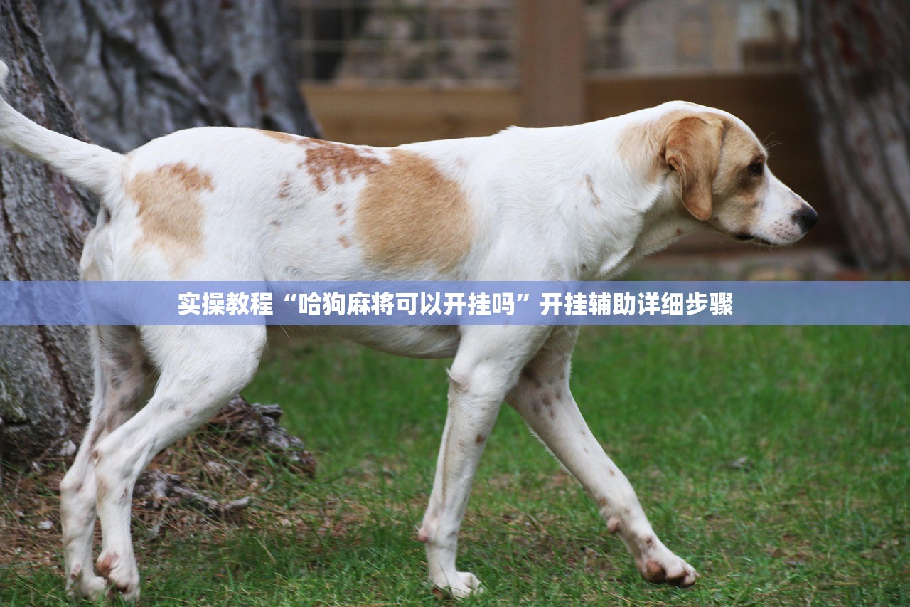 实测辅助“微乐家乡麻将必赢开挂神器	”(原来确实是有插件)
