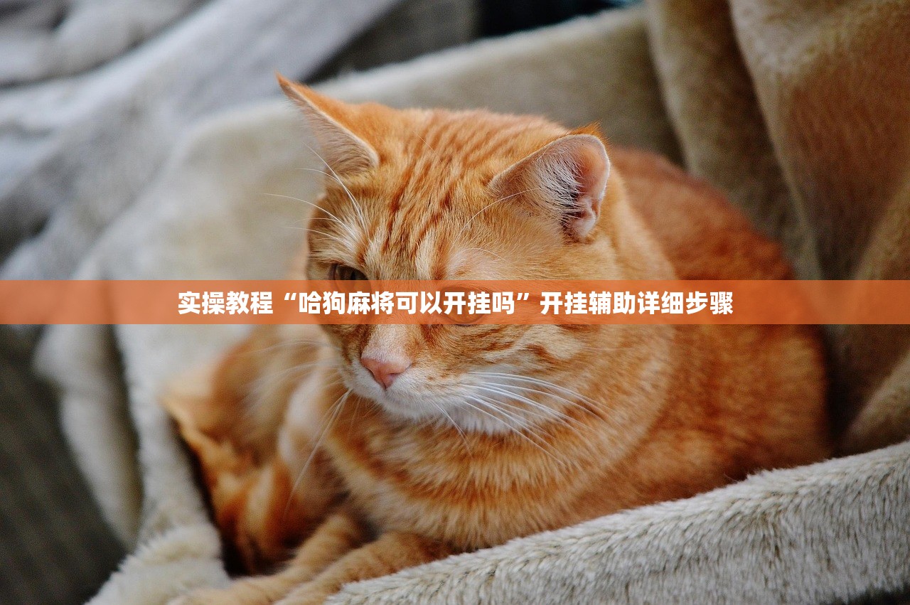 实操教程“哈狗麻将可以开挂吗	”开挂辅助详细步骤