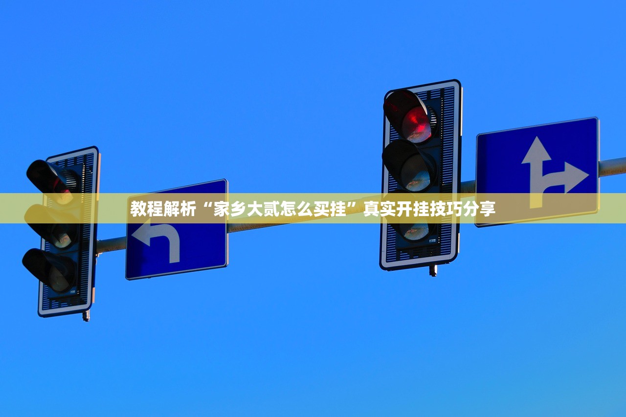 教程解析“家乡大贰怎么买挂	”真实开挂技巧分享