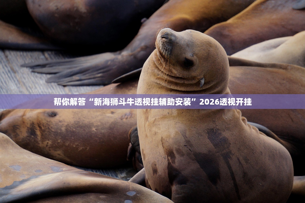 帮你解答“新海狮斗牛透视挂辅助安装”2026透视开挂