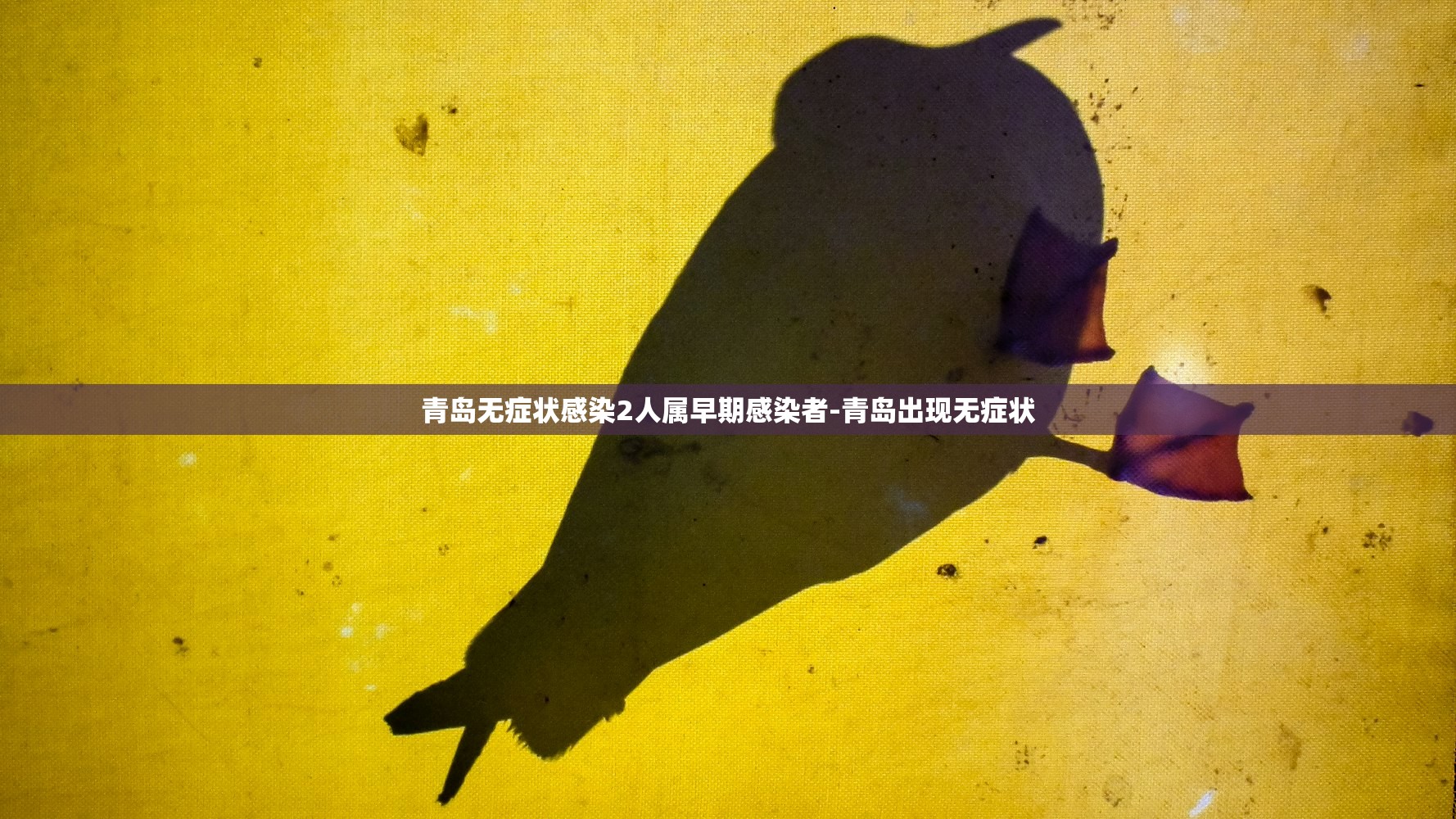 青岛无症状感染2人属早期感染者-青岛出现无症状 青岛无症状感染2人属早期感染者-青岛出现无症状