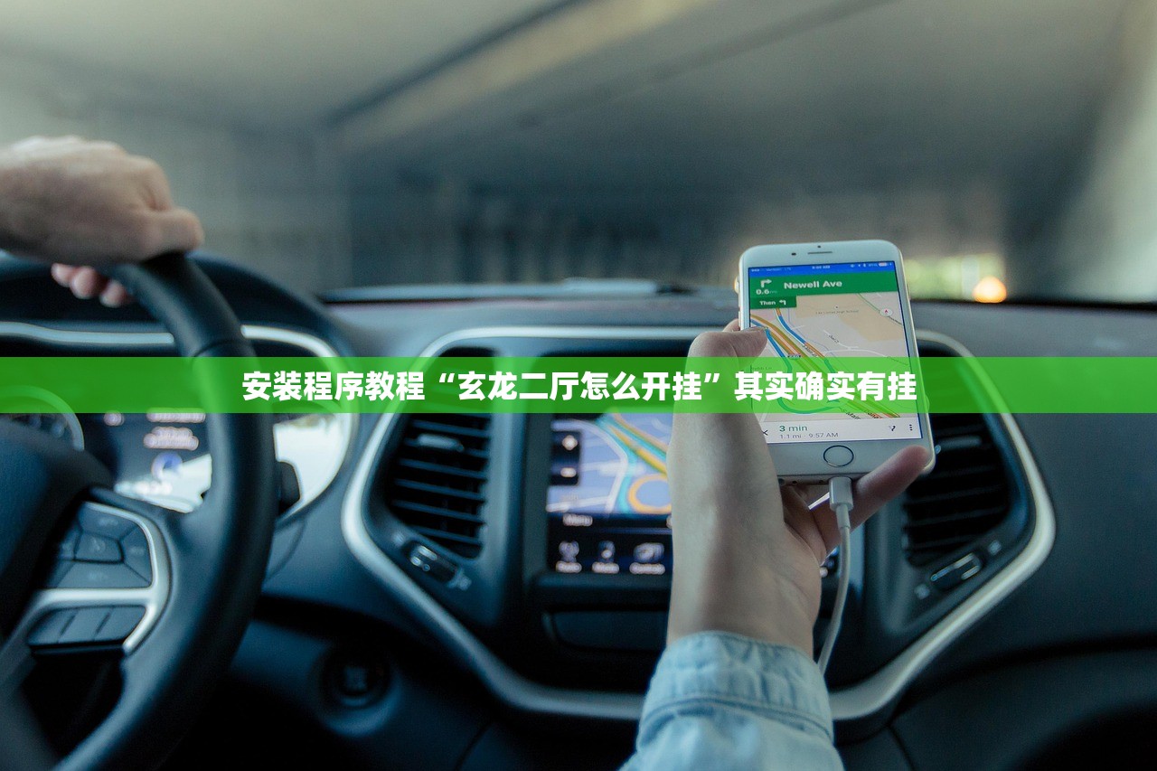 安装程序教程“玄龙二厅怎么开挂	”其实确实有挂