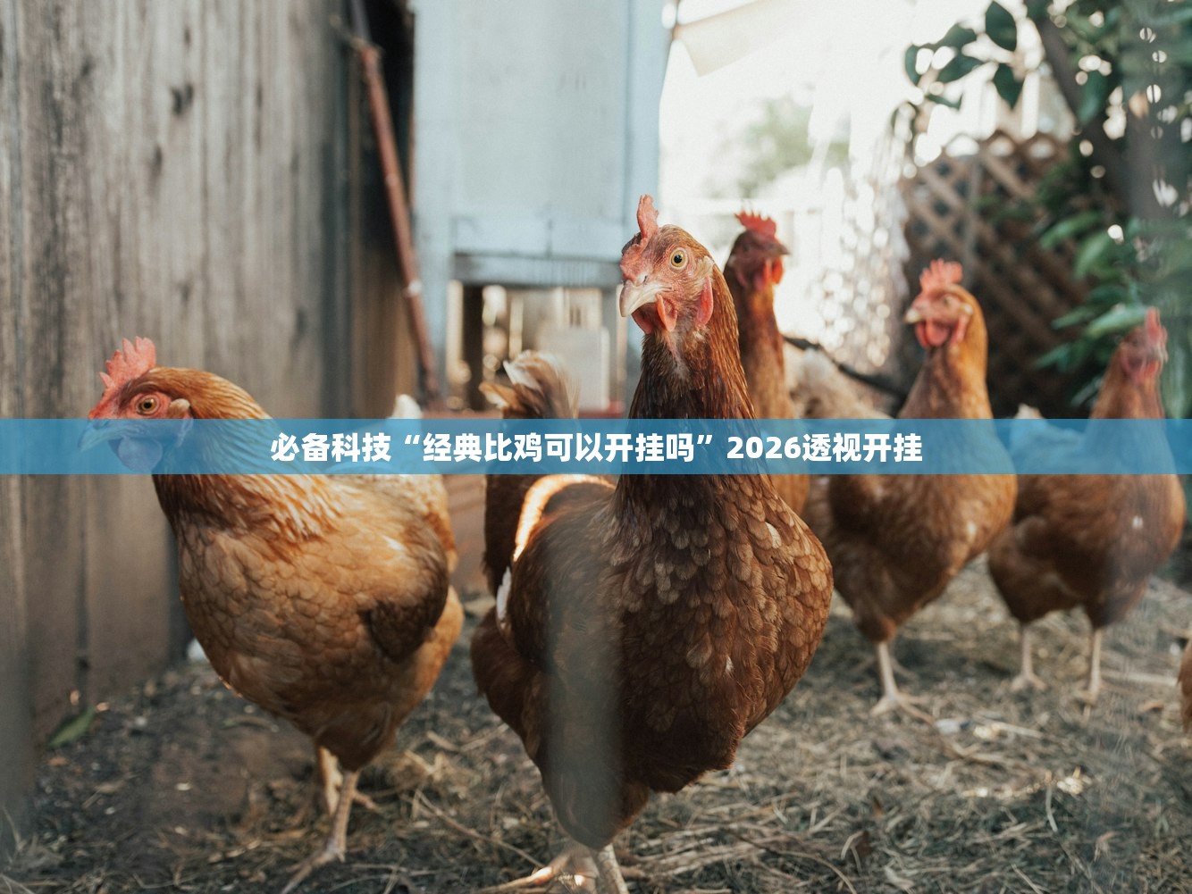 今日教程“钱塘十三水开挂辅助器是什么弄的”其实确实有挂