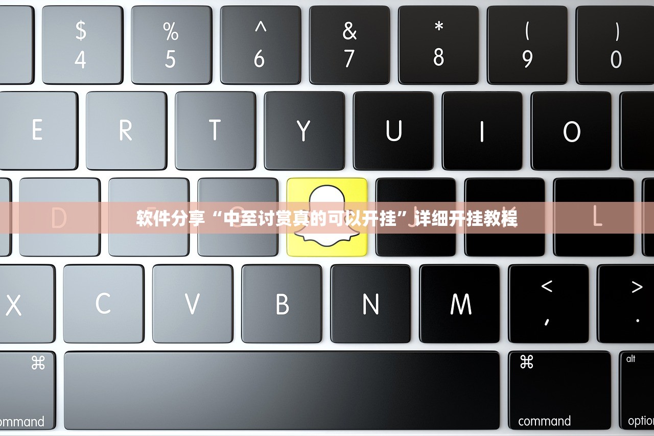 软件分享“中至讨赏真的可以开挂”详细开挂教程