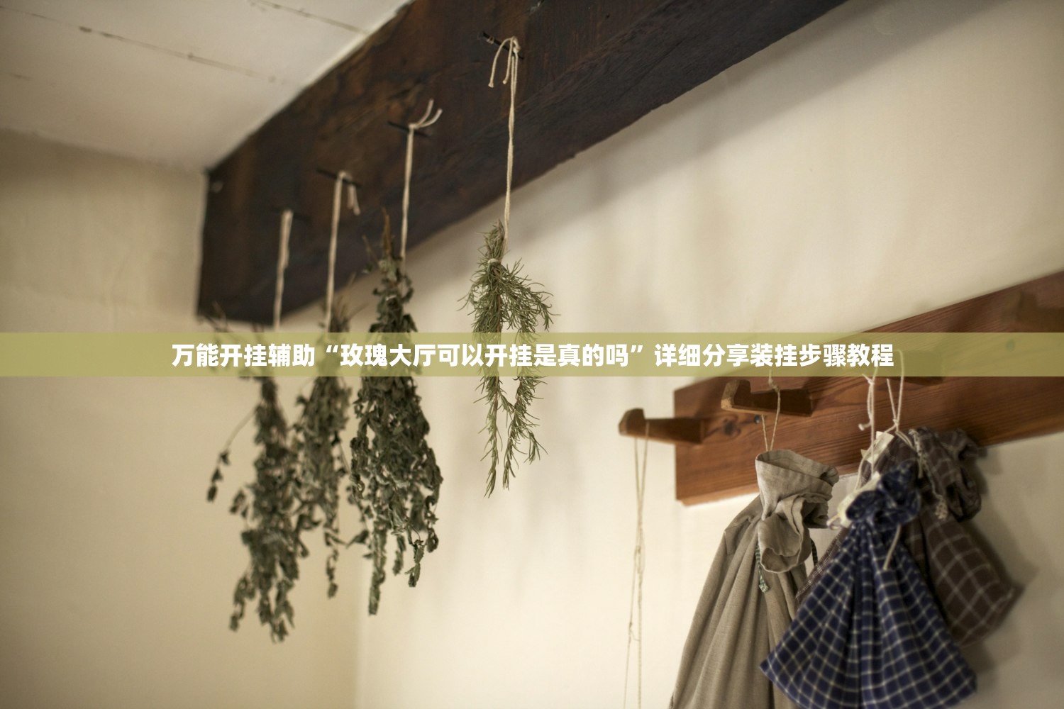 万能开挂辅助“玫瑰大厅可以开挂是真的吗”详细分享装挂步骤教程