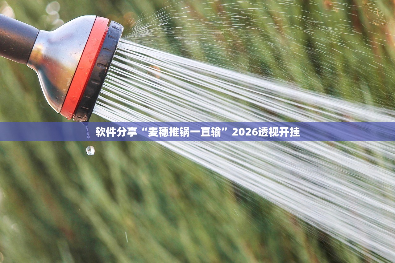软件分享“麦穗推锅一直输	”2026透视开挂