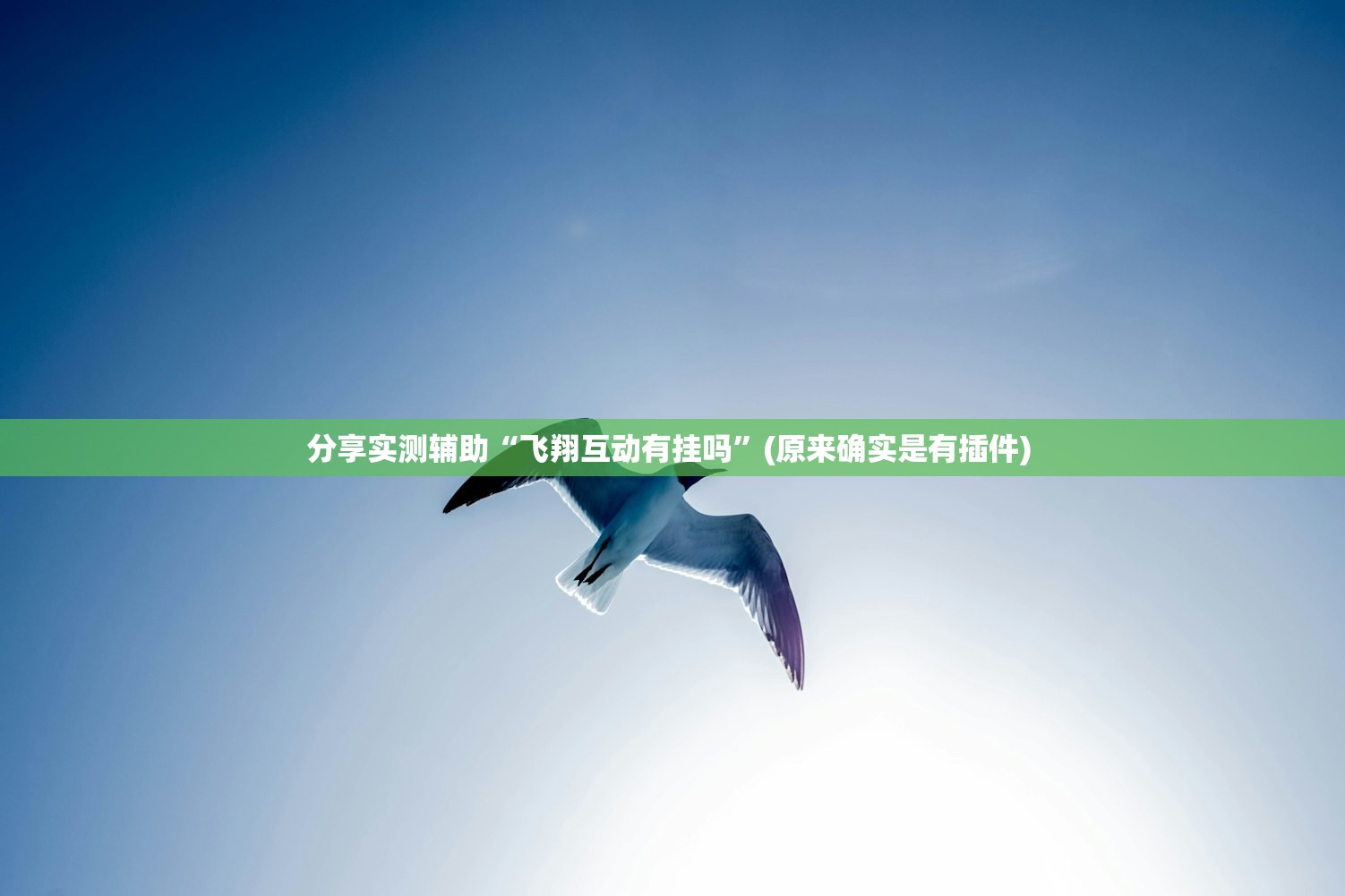 分享实测辅助“飞翔互动有挂吗”(原来确实是有插件) 