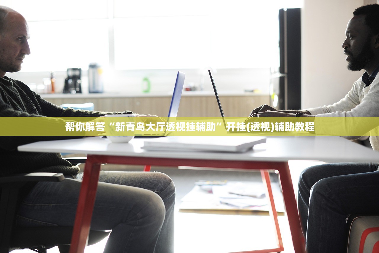 帮你解答“新青鸟大厅透视挂辅助”开挂(透视)辅助教程