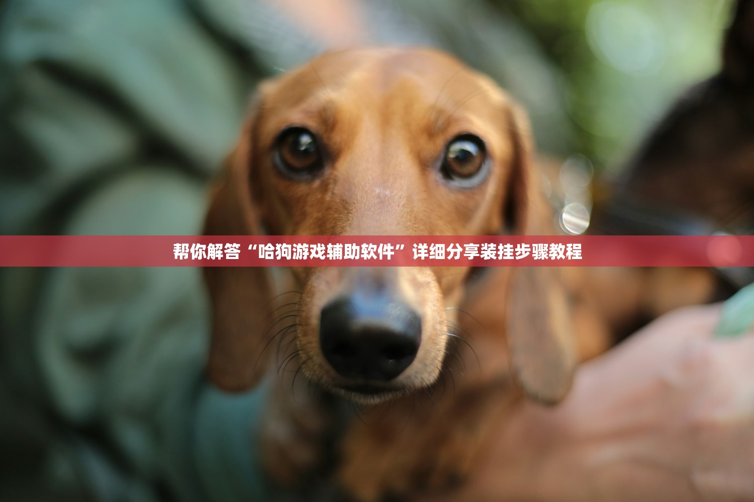 玩家必备攻略“小程序四川麻将有挂吗”开挂辅助详细步骤