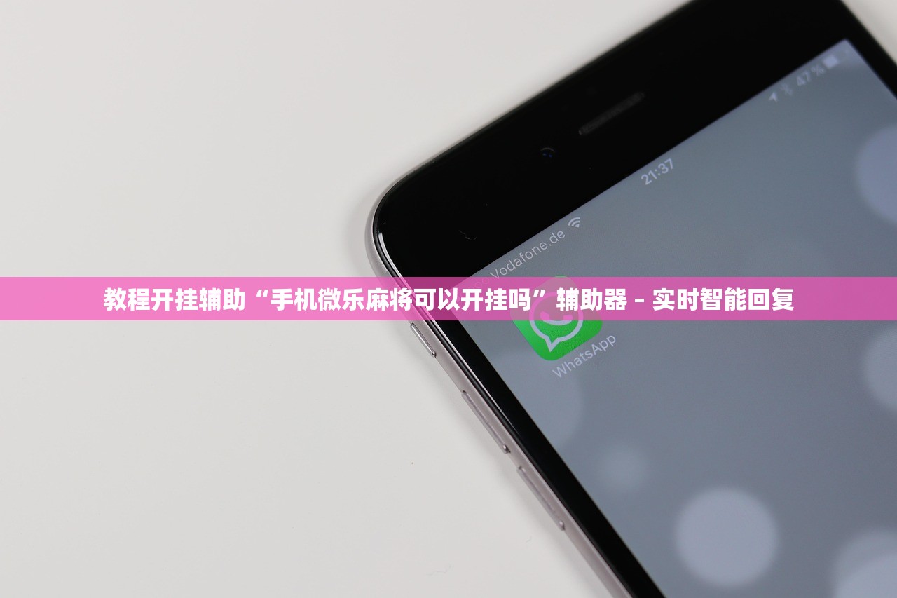 开挂辅助工具“老铁十三水开挂器”2026开挂教程步骤