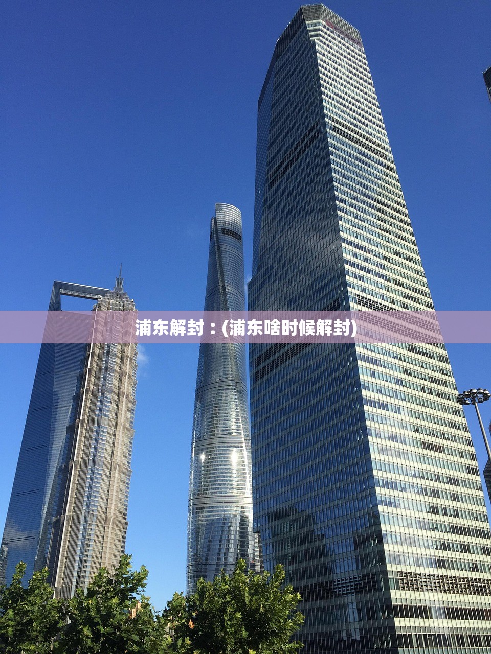 浦东解封︰(浦东啥时候解封)