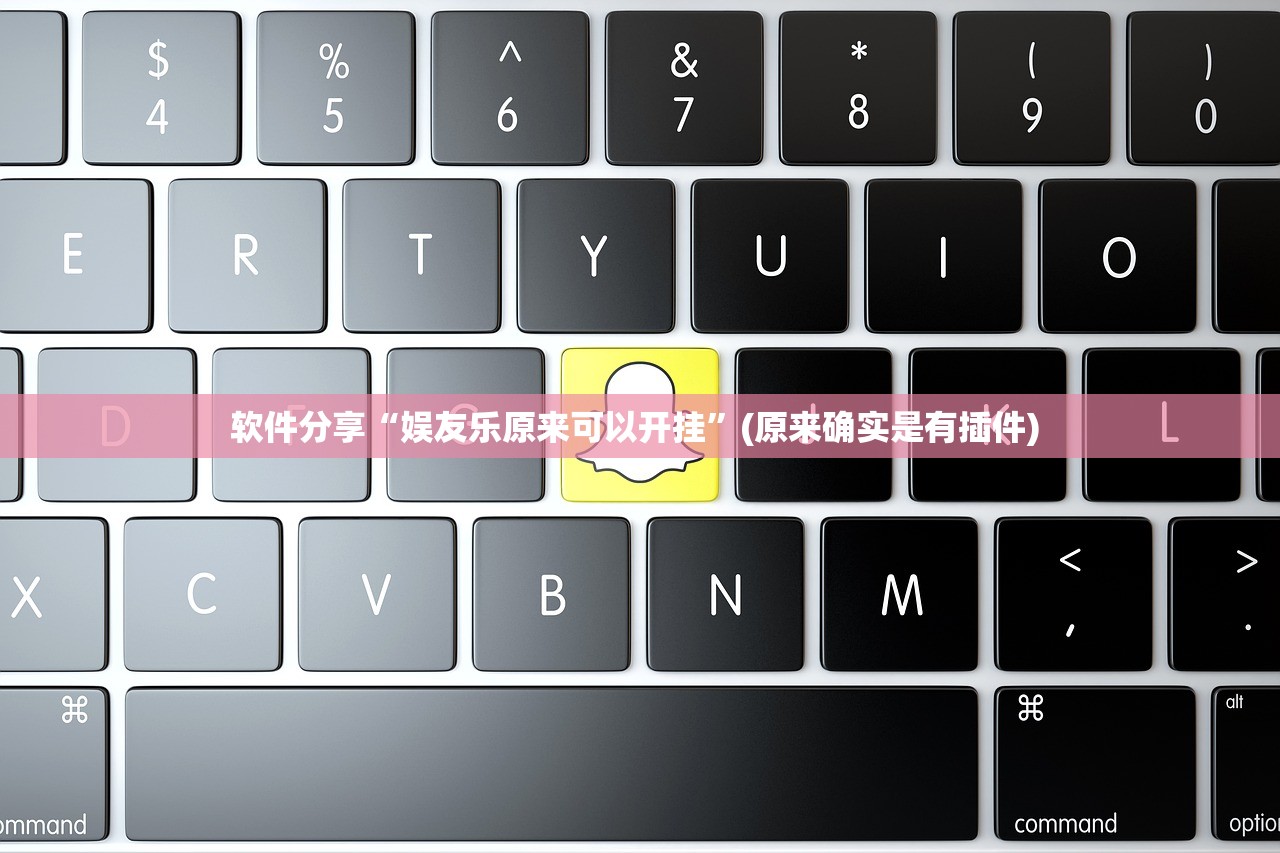 软件分享“娱友乐原来可以开挂”(原来确实是有插件) 